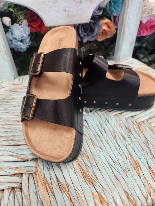 Platform Slides