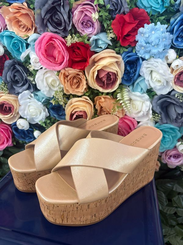 Criss cross champagne slides 