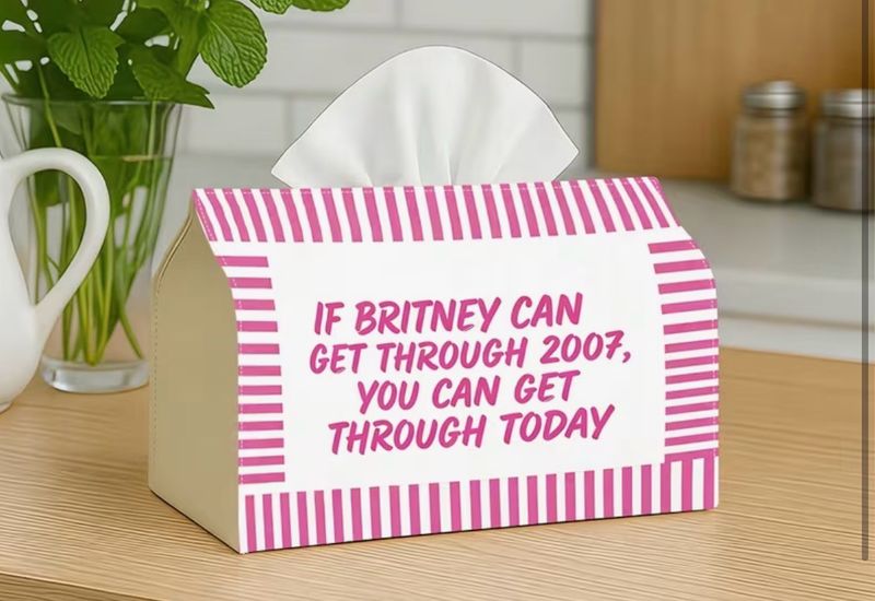 If Britney Can
