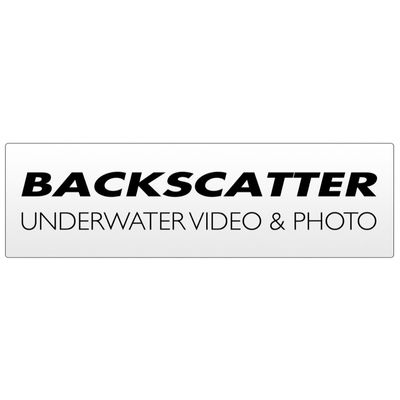 BACKSCATTER