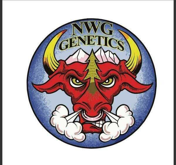 NWG Genetics