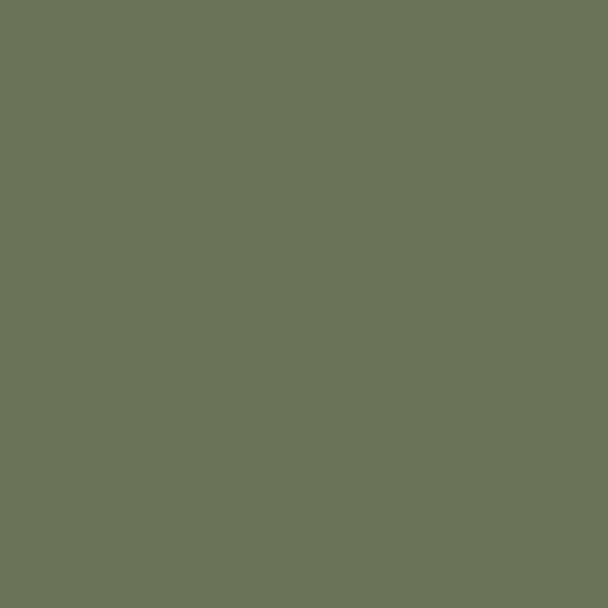 Olive Matt