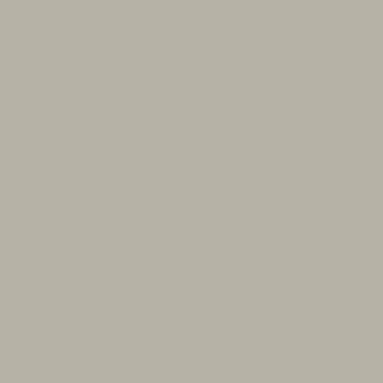 Canvas Eggshell