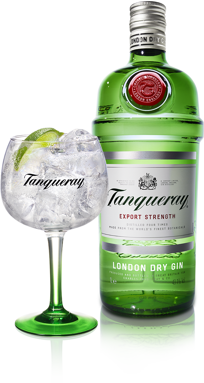 Gin and Tonic/Dry Lemon
