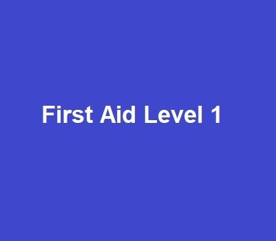 First Aid Level 1 Course First Aid Level 1 Course