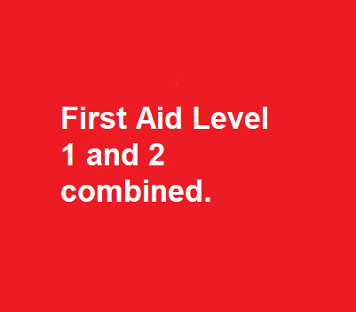 First Aid Level 1 and 2 combined Course First Aid Level 1 and 2 combined Course