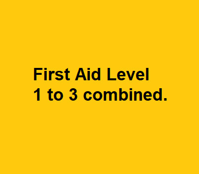 First Aid Level 1 to 3 Combined Course First Aid Level 1 to 3 Combined Course