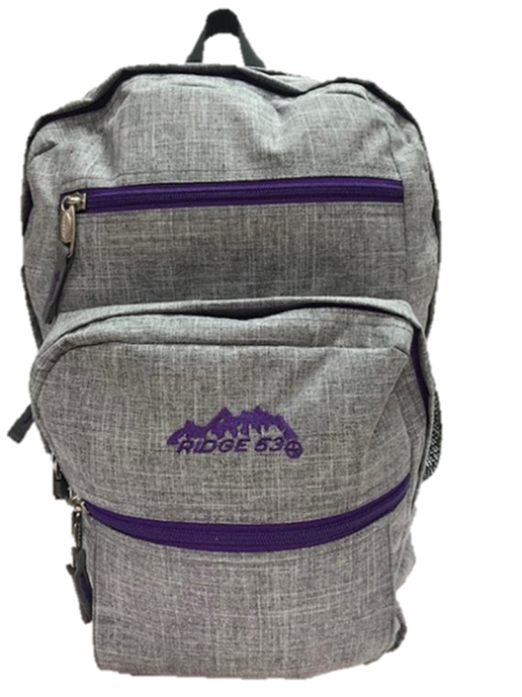 College Grey/Purple