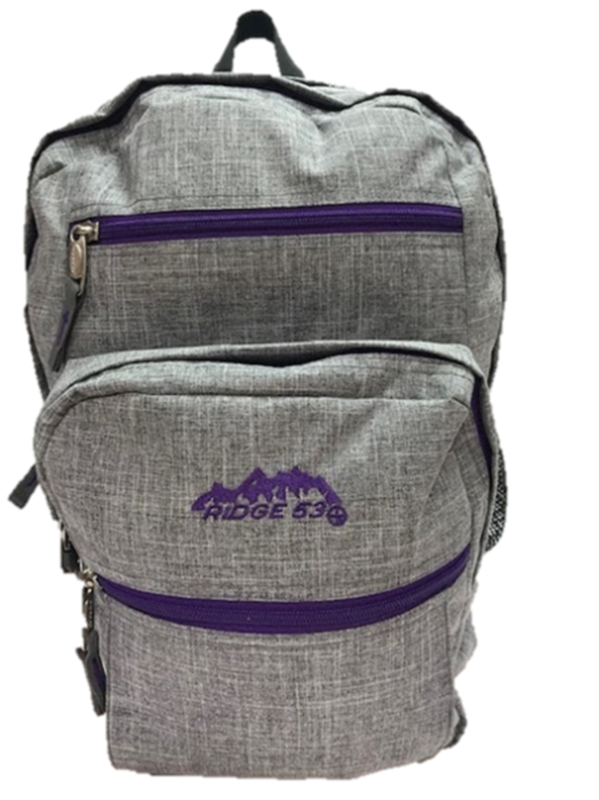 College Grey/Purple