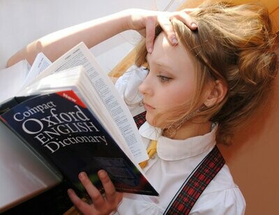 Dictionaries &amp; Thesauri