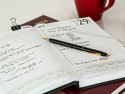 Diaries