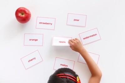 Flashcards