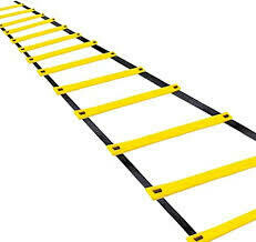 AGILITY LADDER