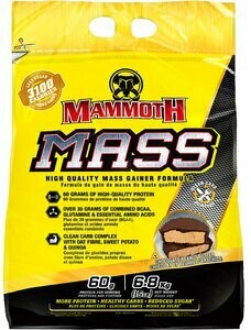 MAMMOTH MASS 15LB