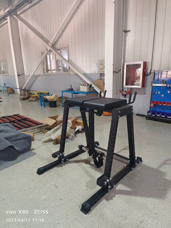 IRON ARMOUR REVERSE HYPER EXTENSION BENCH