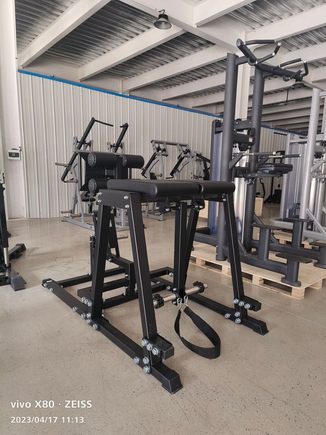 GLUTE &amp; REVERSE HYPER EXTENSION BENCH