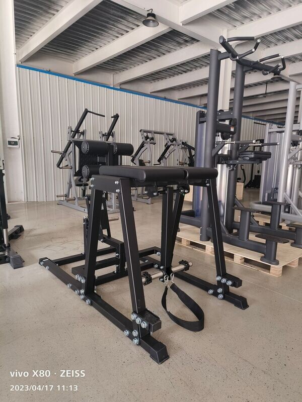 GLUTE &amp; REVERSE HYPER EXTENSION BENCH