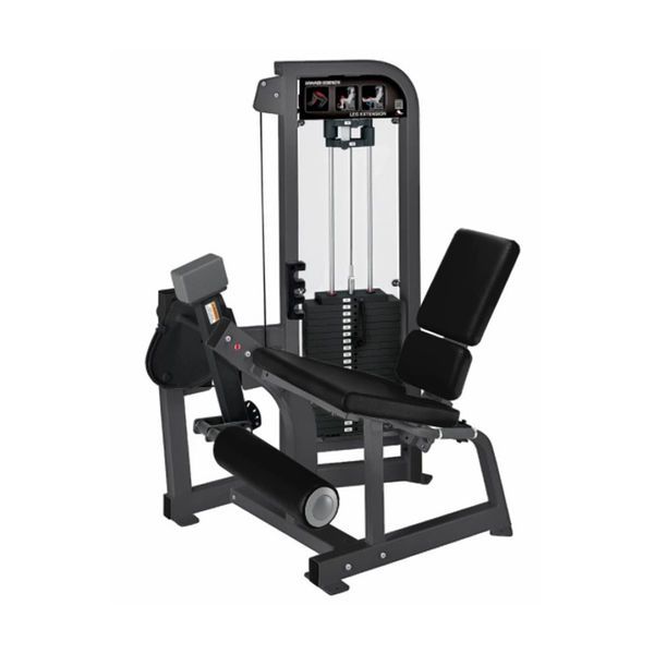 IRON ARMOUR LEG EXTENSION/CURL MACHINE
