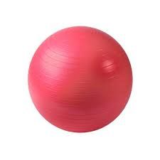 IRON ARMOUR COMMERCIAL STABILITY BALLS 55CM