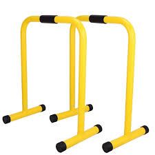 EQUALIZER/ PARALLETTE BARS