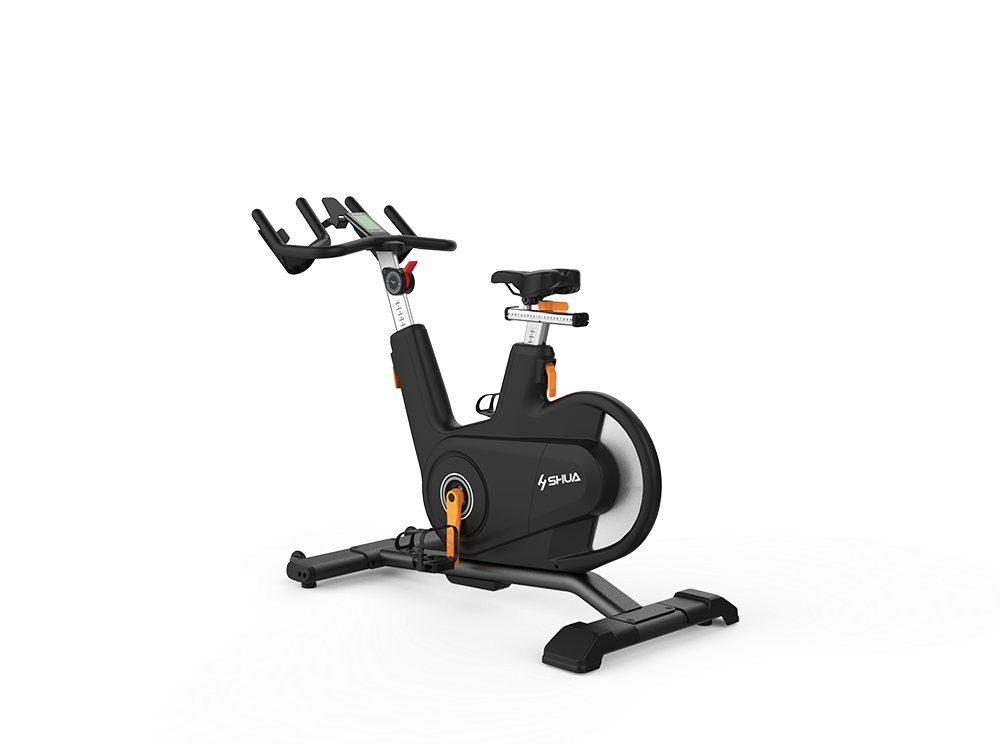 SHUA V9 Indoor Cycle SH-B8900