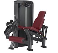 LEG EXTENSION DLX-016