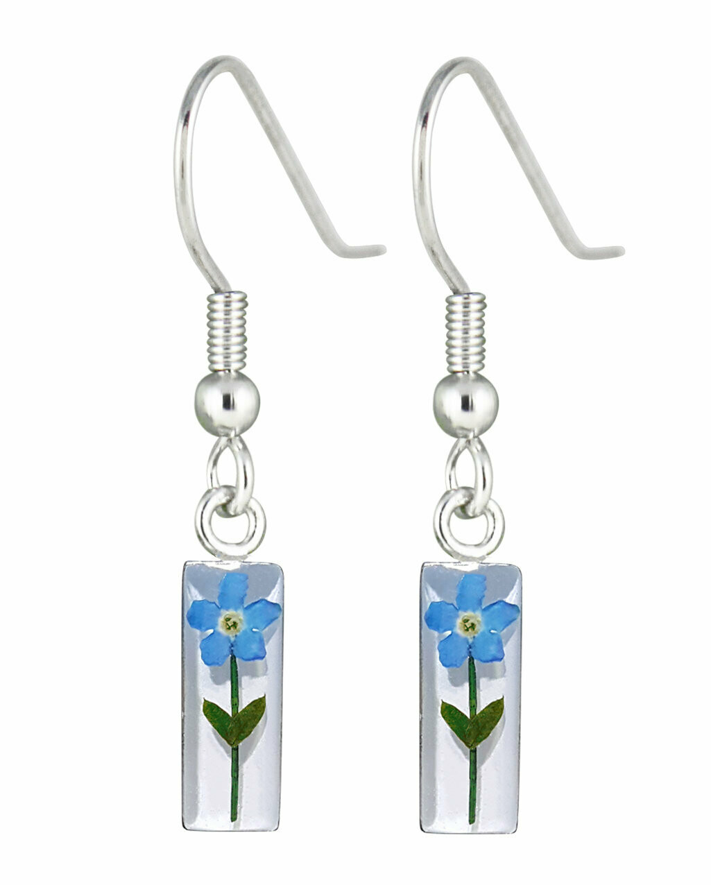 Real Forget-Me-Not, Rectangle Earrings, White Background.
