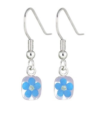 Real Forget-Me-Not Mini Square Earrings, White Background
