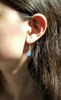 Real Forget-Me-Not Mini Square Earrings, White Background
