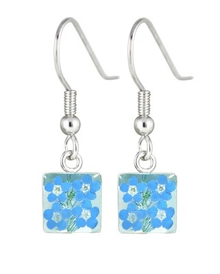 Real Forget-Me-Not, Small Square Earrings, White Background