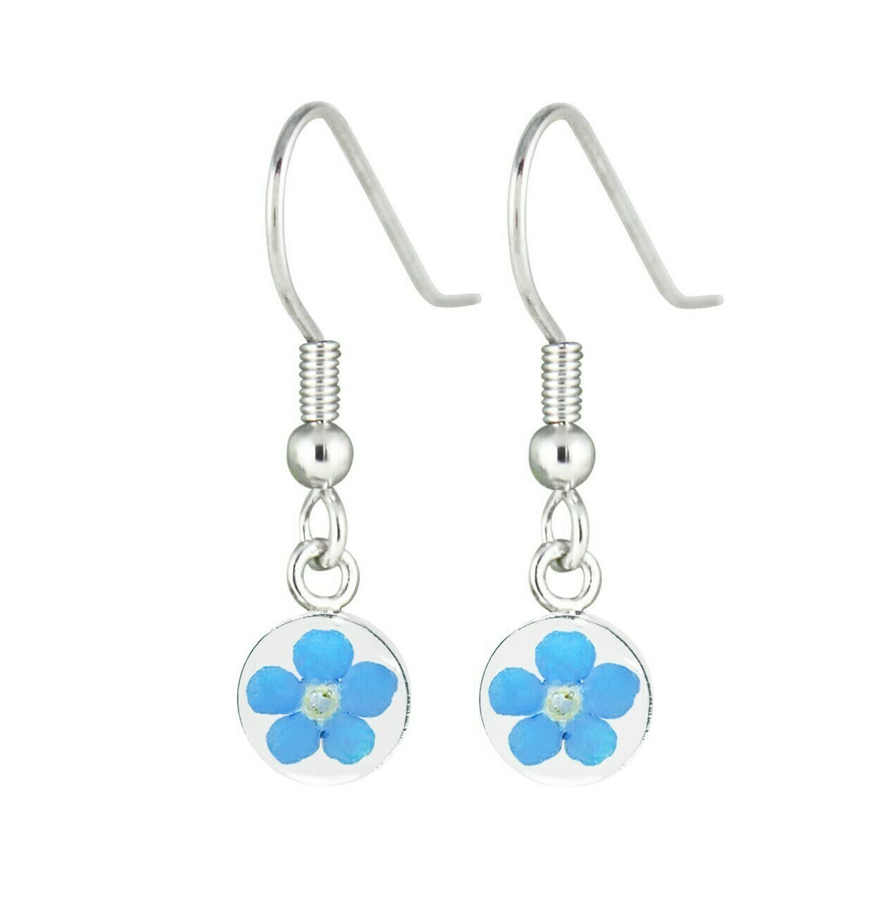 Real Forget-Me-Not, Small Circle Earrings, White Background