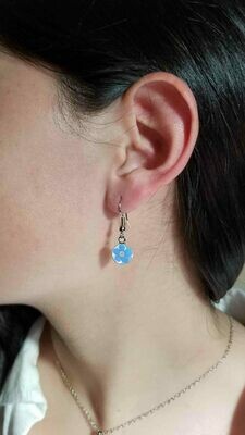 Real Forget-Me-Not, Small Circle Earrings, White Background