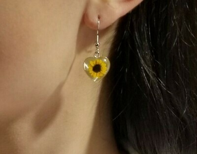 Sunflower, Heart Hanging Earrings, White Background.