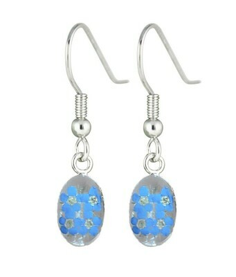 Real Forget-Me-Not, Oval Earrings, White Backgroud