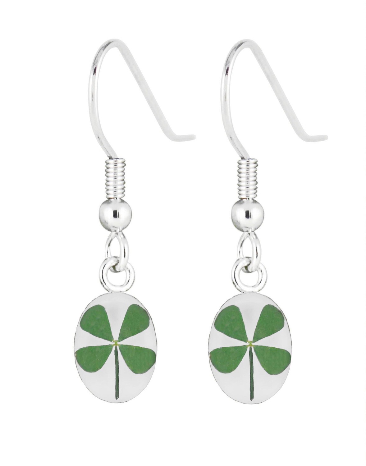 Four-Leaf Clover, Oval Hanging Earrings, White Background