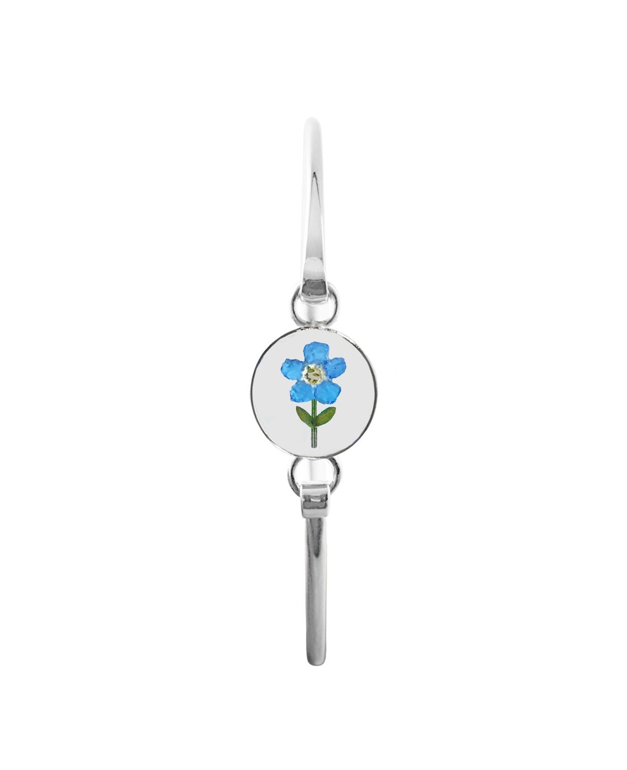 Real Forget-Me-Not, Small Circle Bracelet, Transparent
