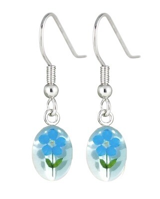 Real Forget-Me-Not, Oval Earrings, White Background.