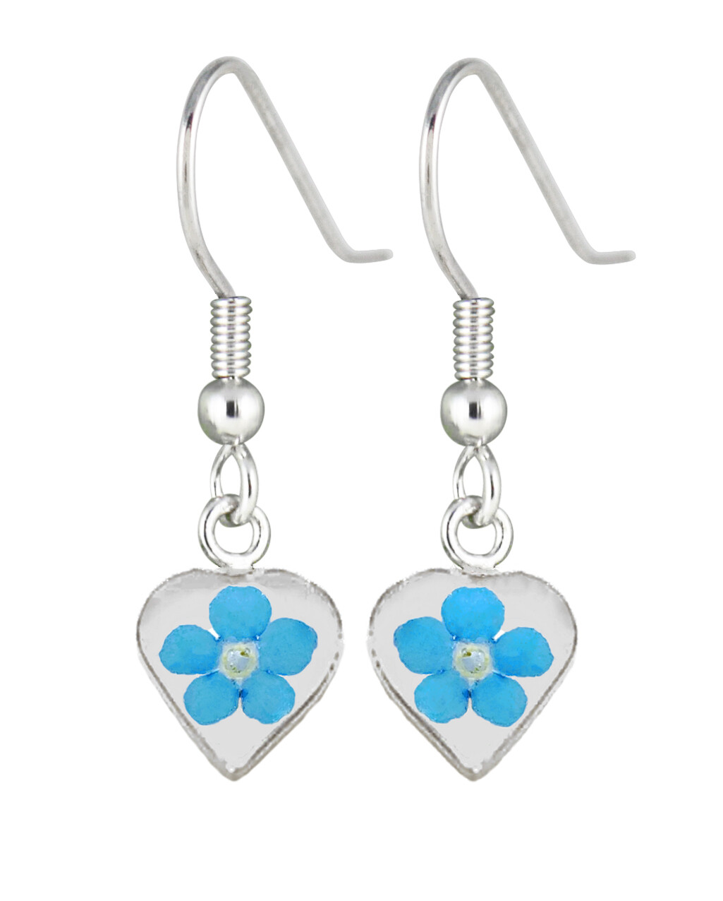 Real Forget-Me-Not, Small Heart Earrings, White Background