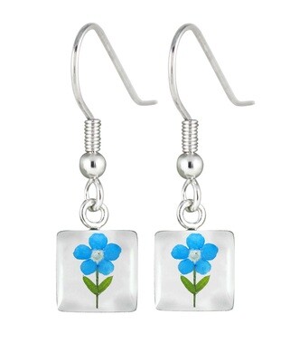Forget-Me-Not, Mini Square Earrings, White Background