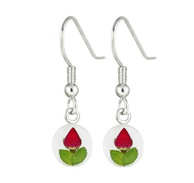 Real Rose Circle Earrings, Transparent Background.