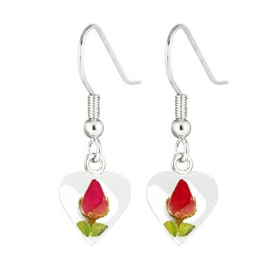 Rose, Small Heart Hanging Earrings, White Background.