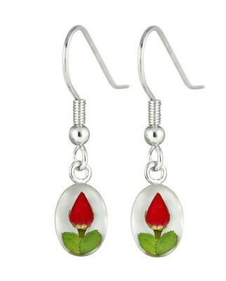 Rose, Small Oval Hanging Earrings, White Background.