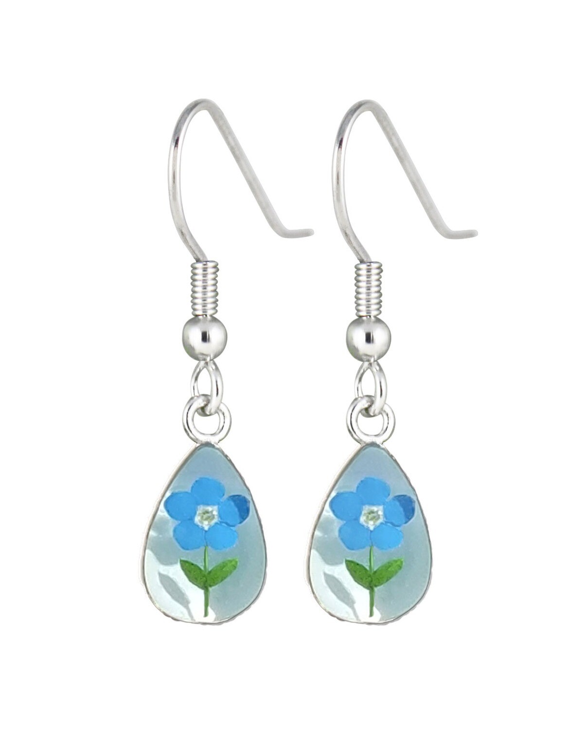 Real Forget-Me-Not, Teardrop Earrings, White Background