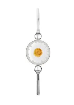 Real Daisy Circle Bracelet, Transparent