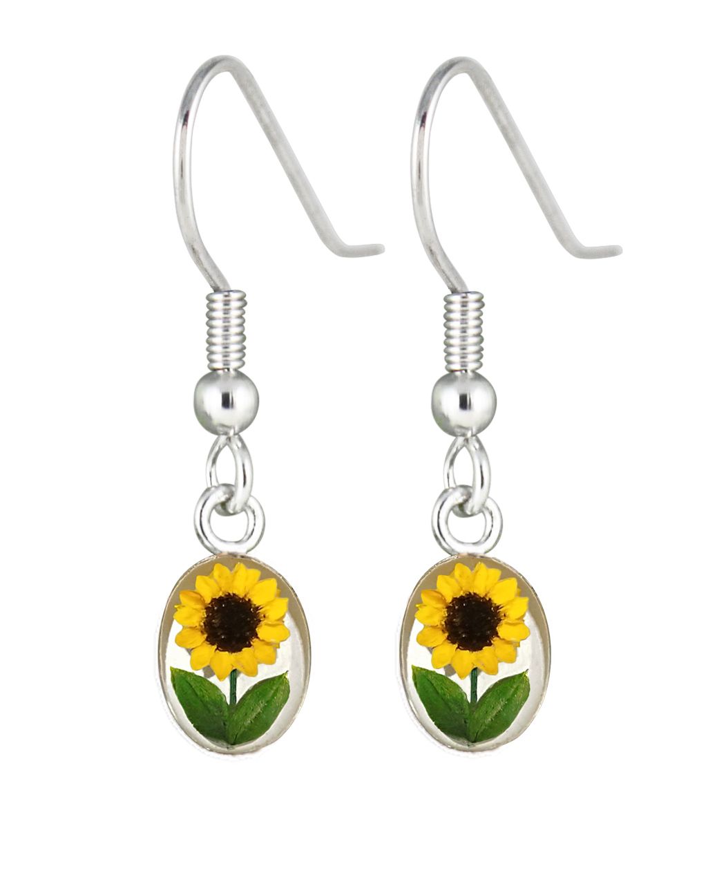Sunflower, Oval Hanging Earrings, White Background.