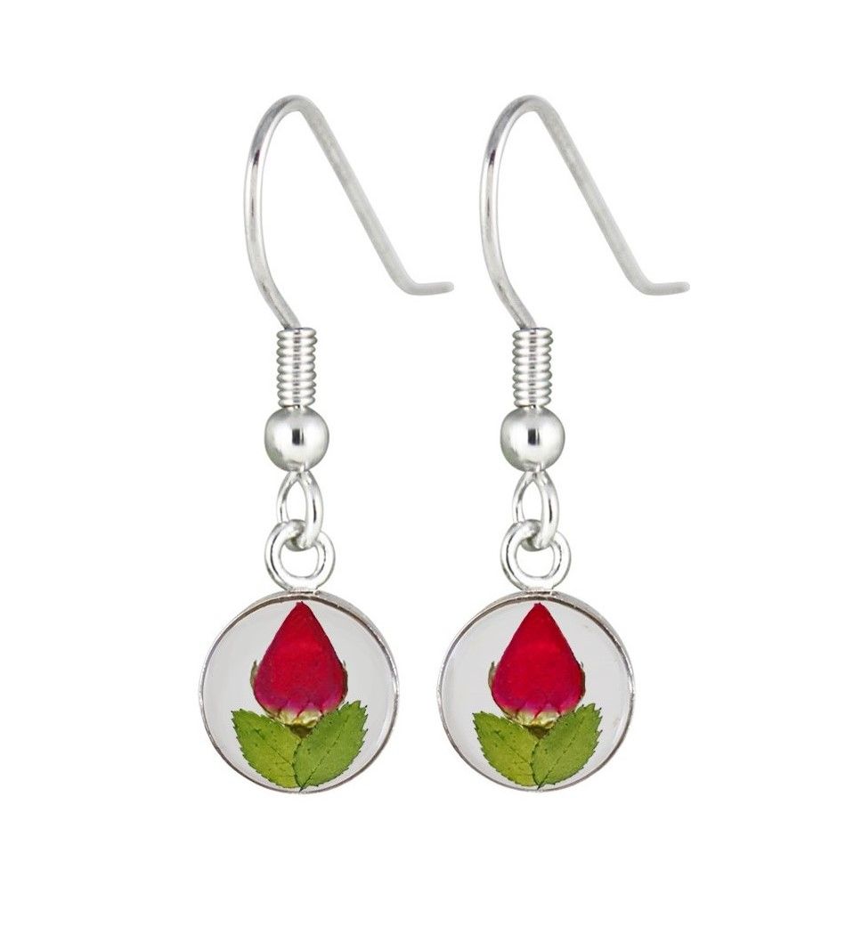 Real Rose Small Circle Earrings, Transparent Background.