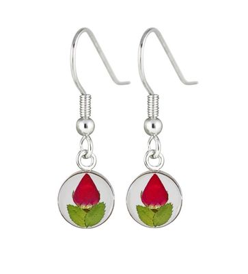 Real Rose Small Circle Earrings, Transparent Background.