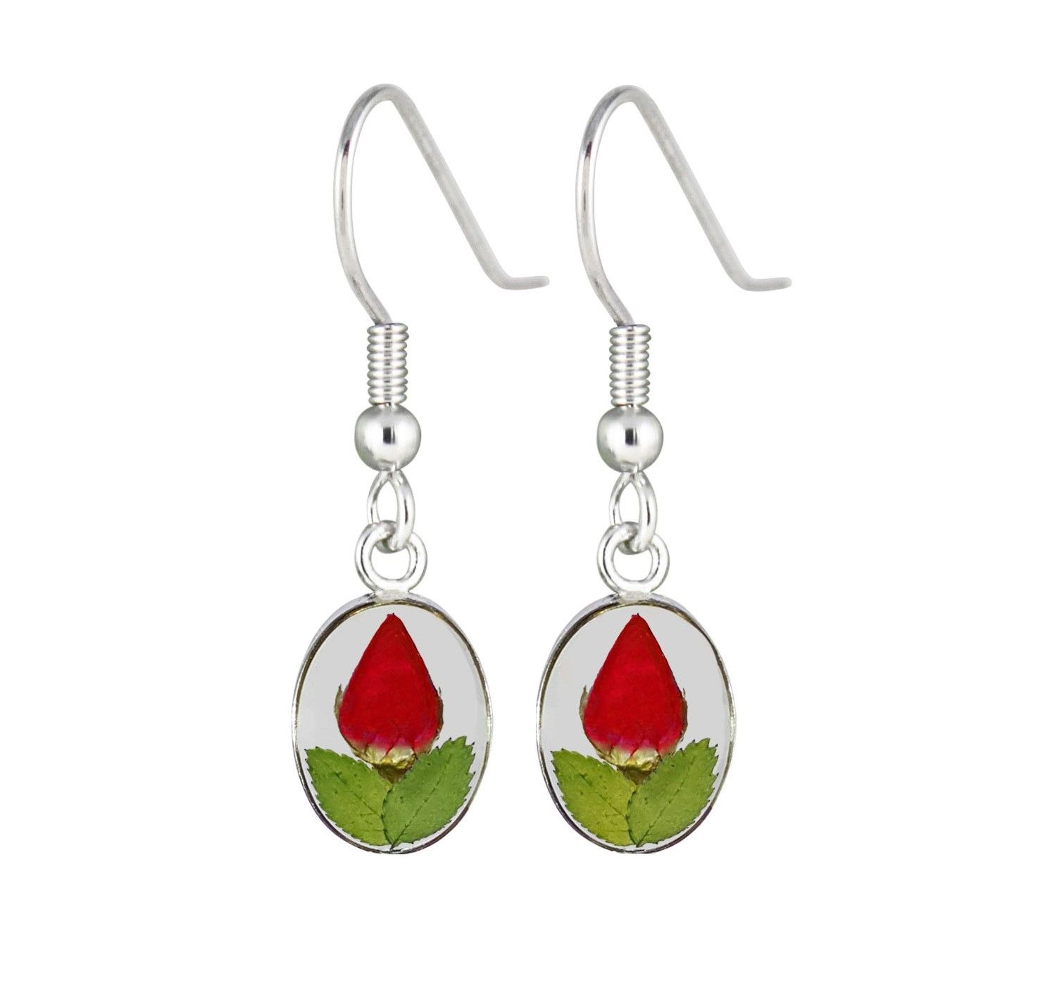 Real Rose Small Oval Earrings, Transparent Background.