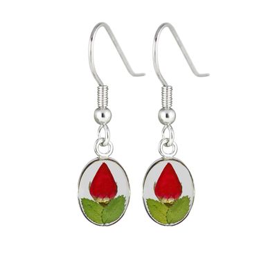 Real Rose Small Oval Earrings, Transparent Background.