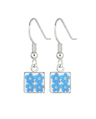 Four Real Forget Me Not, Square Hanging Earrings, Transparent